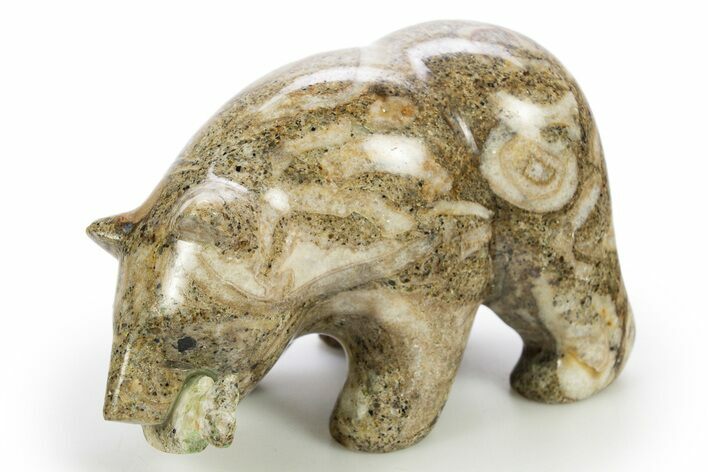 Realistic, Polished Fossil Shell Hash Bear w/ Fish - Philippines #308452